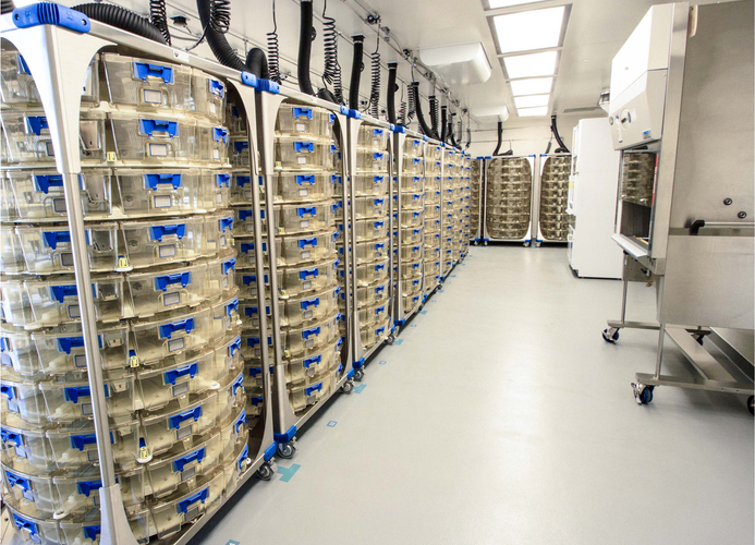 醫(yī)藥工程行業(yè)潔凈場所之SPF動物房IVC系統(tǒng)飼養(yǎng)環(huán)境設計   CEIDI西遞